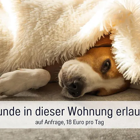 Dahem-apartments - Ruhig Parkplatz Rhein Main Gebiet Gut Erreichbar - 3 - Barrierefrei Mit Garten Und Hund Auf Anfrage -- 2 Sz Maisonette Mit Balkon, -- 2 Sz Mit Balkon * Bretzenheim