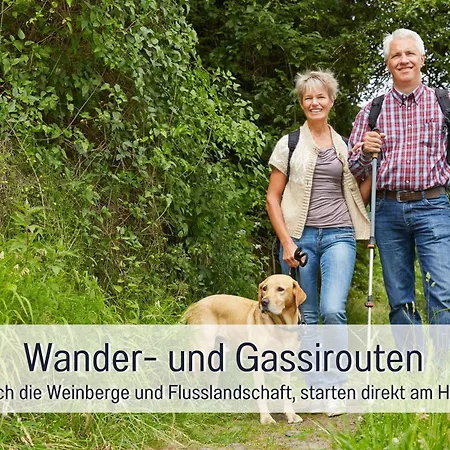 Dahem-apartments - Ruhig Parkplatz Rhein Main Gebiet Gut Erreichbar - 3 - Barrierefrei Mit Garten Und Hund Auf Anfrage -- 2 Sz Maisonette Mit Balkon, -- 2 Sz Mit Balkon Apartmán