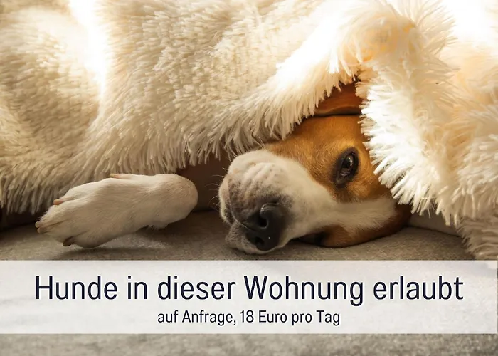 Dahem-apartments - Ruhig Parkplatz Rhein Main Gebiet Gut Erreichbar - 3 - Barrierefrei Mit Garten Und Hund Auf Anfrage -- 2 Sz Maisonette Mit Balkon, -- 2 Sz Mit Balkon * Bretzenheim